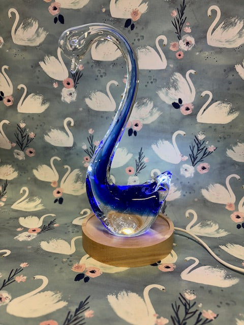 Glass Swan with light base