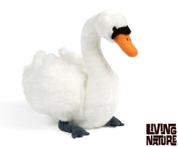 Swan Teddy