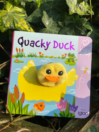 Quacky Duck Childrens Book