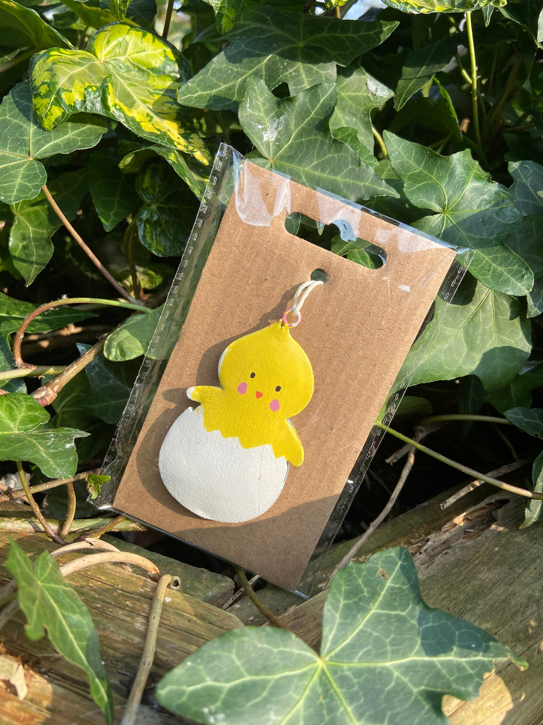 HATCHING EASTER DUCK