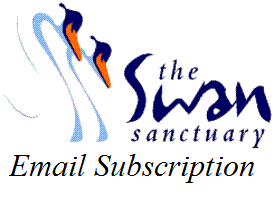 Email Newsletter Subscription