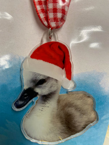 Cygnet tree ornament