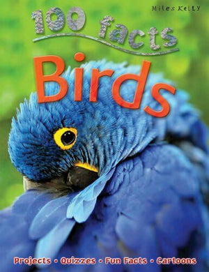 100 facts - Birds